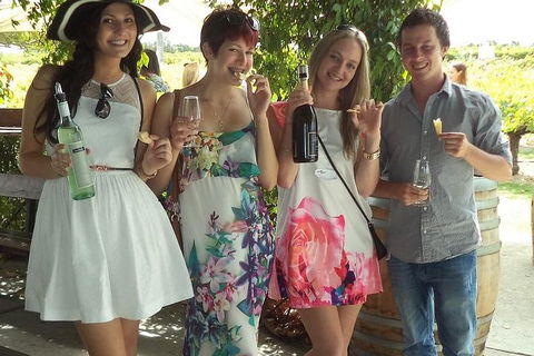 1/2 Day Swan Valley Wine Cheese & Chocolate Tour Inc Afternoon Cruise To Perth - Accommodation Fremantle 4