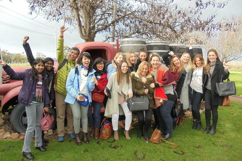 1/2 Day Swan Valley Wine Cheese & Chocolate Tour Inc Afternoon Cruise To Perth - Accommodation Fremantle 5