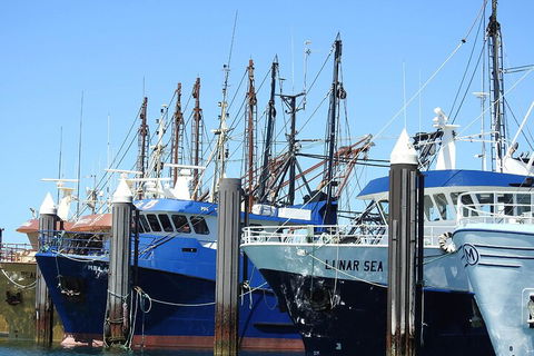 One Day Port Lincoln Tour - Tasting Eyre - Accommodation Fremantle 0