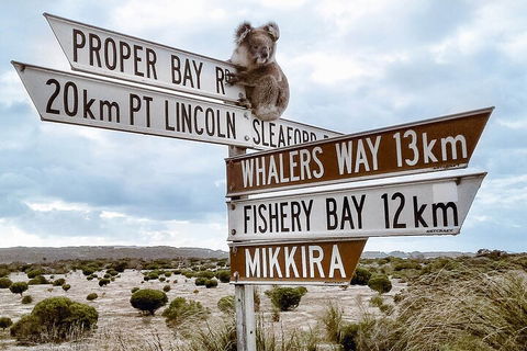 One Day Port Lincoln Tour - Tasting Eyre - Accommodation Fremantle 2