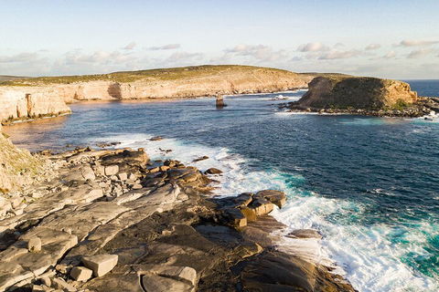 One Day Port Lincoln Tour - Tasting Eyre - Accommodation Fremantle 3