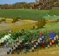 10 Day Perth to Adelaide Private Tour - The Great Australian Wilderness Journey - Accommodation Fremantle