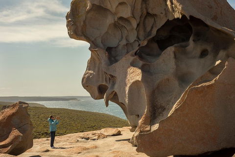 Kangaroo Island In A Day Tour From Adelaide - Accommodation Fremantle 5