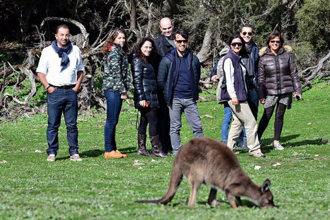 2-Day Kangaroo Island 4WD Small-Group Tour From Adelaide - Accommodation Fremantle 1