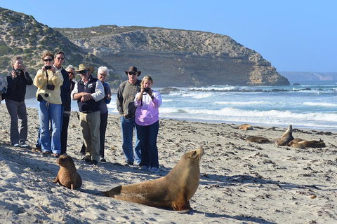 2-Day Kangaroo Island 4WD Small-Group Tour From Adelaide - Accommodation Fremantle 3