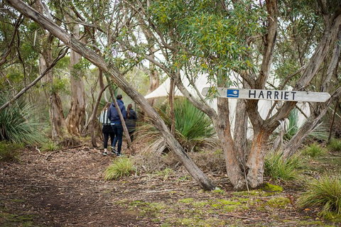 2-Day Kangaroo Island 4WD Small-Group Tour From Adelaide - Accommodation Fremantle 5