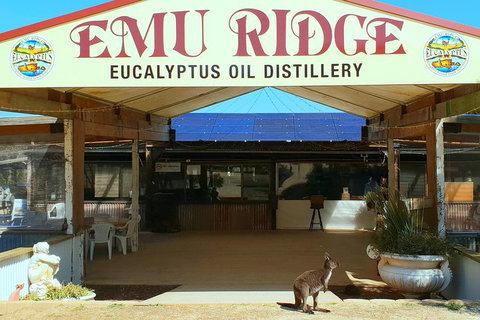 2 Day Ultimate Kangaroo Island With Return Ferry - Accommodation Fremantle 3