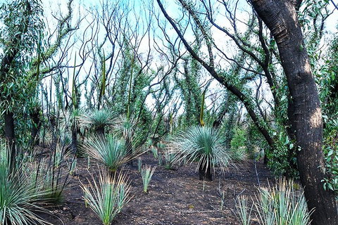 NEW TOUR - Kangaroo Island Road To Recovery Tour (1 Day/1 Night) - Accommodation Fremantle 3