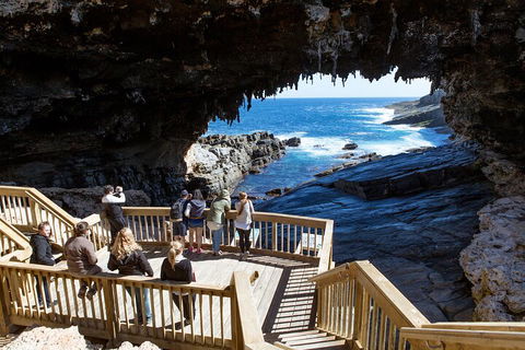 Full Day Flinders Chase Tour From Kangaroo Island - Accommodation Fremantle 1