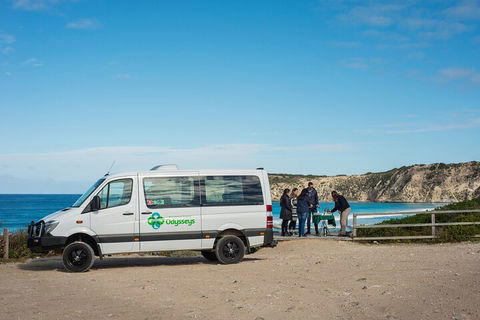 Full Day Flinders Chase Tour From Kangaroo Island - Accommodation Fremantle 3