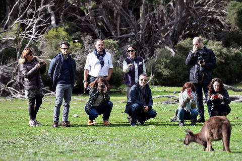Small-Group Kangaroo Island 4WD Tour From Adelaide - Accommodation Fremantle 2