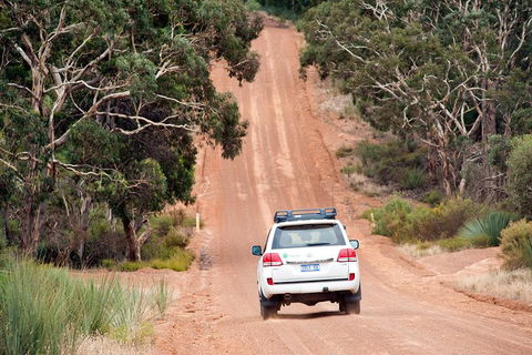 Small-Group Kangaroo Island 4WD Tour From Adelaide - Accommodation Fremantle 3