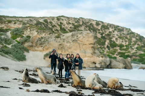 Small-Group Kangaroo Island 4WD Tour From Adelaide - Accommodation Fremantle 4