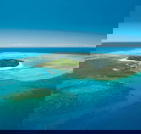 Cairns City Sights and Surrounds Tour - Accommodation Fremantle