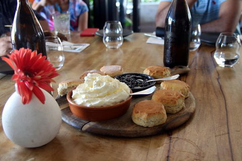 Small-Group Afternoon Cairns City Tour With Harbour Dinner Cruise - Accommodation Fremantle 3