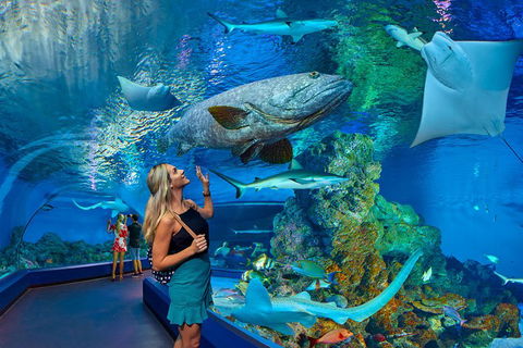Cairns Aquarium Admission Ticket - Accommodation Fremantle 3