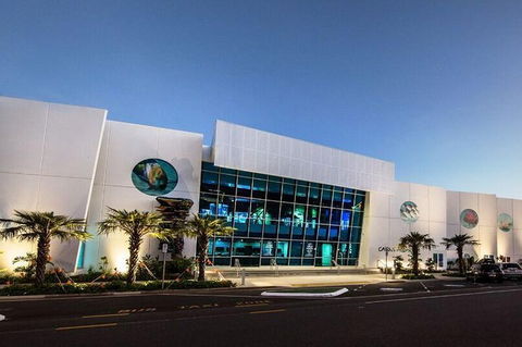 Cairns Aquarium Admission Ticket - Accommodation Fremantle 4