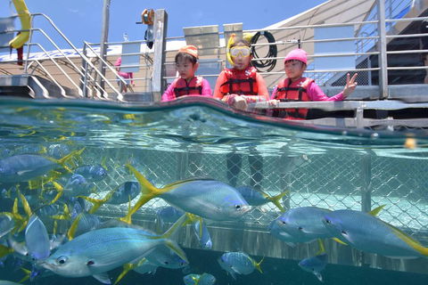 Outer Reef Pontoon Experience From Cairns - Accommodation Fremantle 0