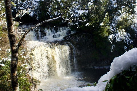 Cradle Mountain Day Tour From Launceston Including Lunch - Accommodation Fremantle 0