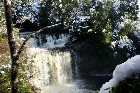 Cradle Mountain Park Explorer Guided Tour - Accommodation Fremantle 4