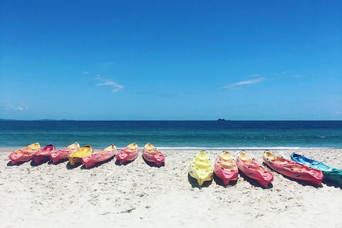 Kayaking With Dolphins In Byron Bay Guided Tour - Accommodation Fremantle 1
