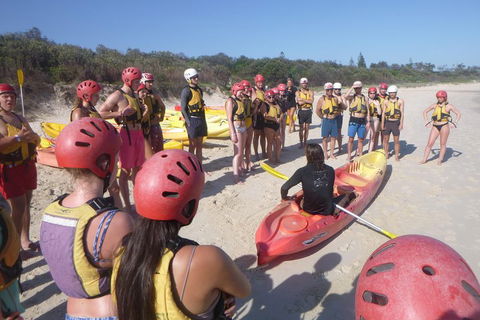 Kayaking With Dolphins In Byron Bay Guided Tour - Accommodation Fremantle 2