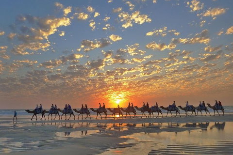 Broome City Sightseeing Tour With Optional Camel Ride - Accommodation Fremantle 1