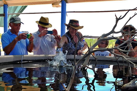 Cape Leveque 4WD Tour From Broome With Optional Return Flight - Accommodation Fremantle 0