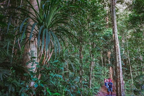 Atherton Tablelands Rain Forest By Night From Cairns - Accommodation Fremantle 0