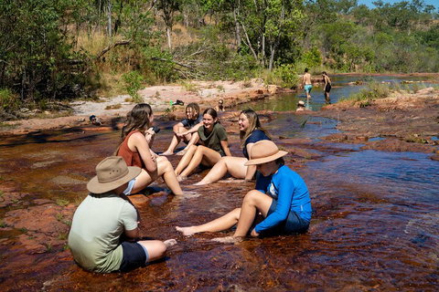 Litchfield National Park Waterfalls And Wildlife Tour From Darwin - Accommodation Fremantle 1