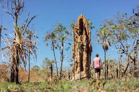 Litchfield National Park Waterfalls And Wildlife Tour From Darwin - Accommodation Fremantle 4