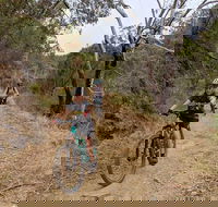 Mount Lofty Descent Bike Tour from Adelaide - Accommodation Fremantle