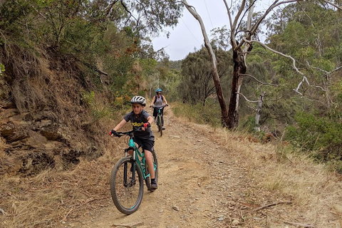 Mount Lofty Descent Bike Tour From Adelaide - Accommodation Fremantle 0
