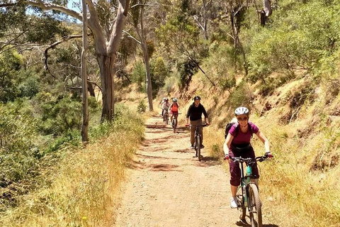 Mount Lofty Descent Bike Tour From Adelaide - Accommodation Fremantle 3