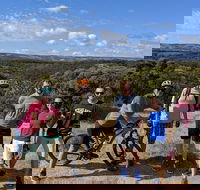 McLaren Vale Wine Tour by Bike - Accommodation Fremantle
