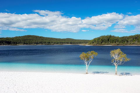 All-Inclusive Fraser Island Day Tour - Accommodation Fremantle 3