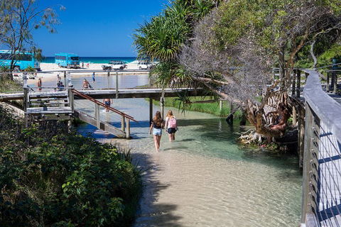 All-Inclusive Fraser Island Day Tour - Accommodation Fremantle 4