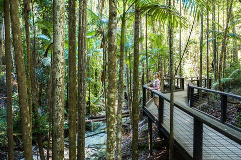 All-Inclusive Fraser Island Day Tour - Accommodation Fremantle 5