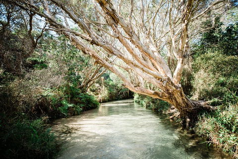 3-Day Fraser Island Resort Package - Accommodation Fremantle 5
