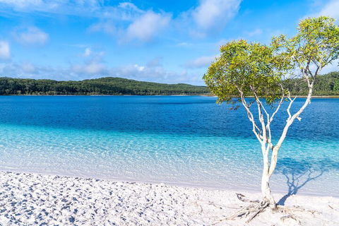 Lake McKenzie Full-Day Tour With Lunch From Hervey Bay - Accommodation Fremantle 1
