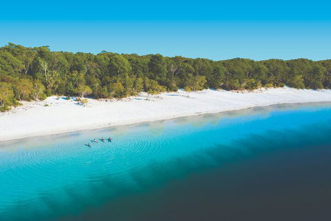 Lake McKenzie Full-Day Tour With Lunch From Hervey Bay - Accommodation Fremantle 4