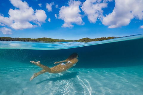 Lake McKenzie Full-Day Tour With Lunch From Hervey Bay - Accommodation Fremantle 5