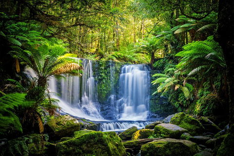 Day Tour In Mt. Field, Mt. Wellington, Bonorong Wildlife Sanctuary And Richmond - Accommodation Fremantle 0