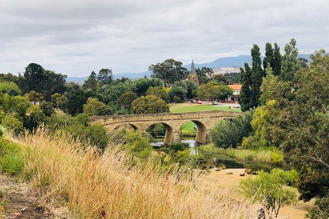 Day Tour In Mt. Field, Mt. Wellington, Bonorong Wildlife Sanctuary And Richmond - Accommodation Fremantle 3