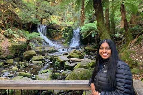 Day Tour In Mt. Field, Mt. Wellington, Bonorong Wildlife Sanctuary And Richmond - Accommodation Fremantle 5