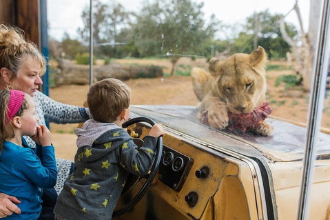 Werribee Open Range Zoo General Admission Ticket - Accommodation Fremantle 4