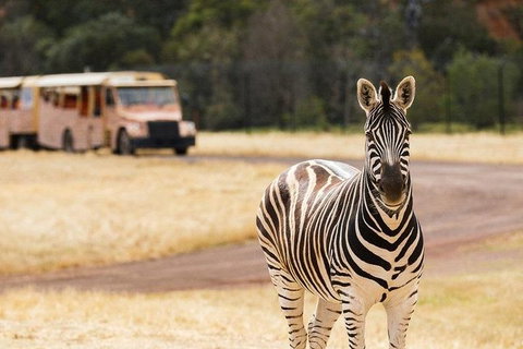 Werribee Open Range Zoo General Admission Ticket - Accommodation Fremantle 5