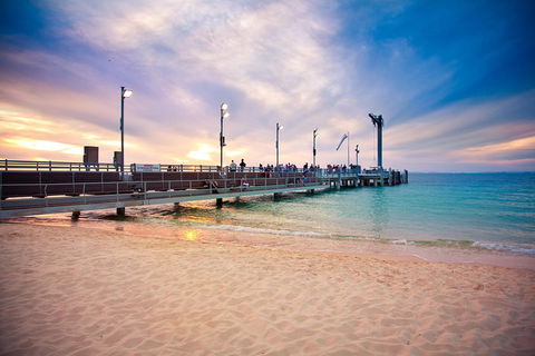 Tangalooma Island Resort Whale Watching Day Cruise With Dolphin Viewing - Accommodation Fremantle 3