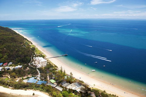 Tangalooma Island Resort Whale Watching Day Cruise With Dolphin Feeding - Accommodation Fremantle 2