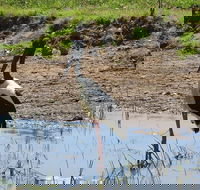 Darwin to Kakadu Day Trip by Air Including Yellow Water Cruise - Accommodation Fremantle